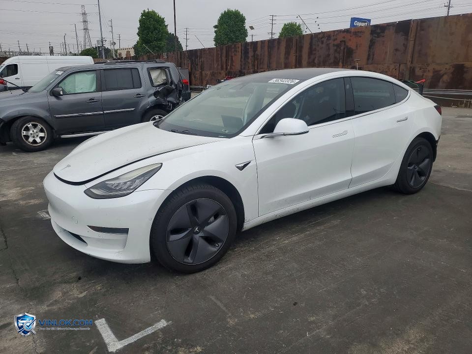 2019 TESLA MODEL 3 – Lot 56342326 auction photo