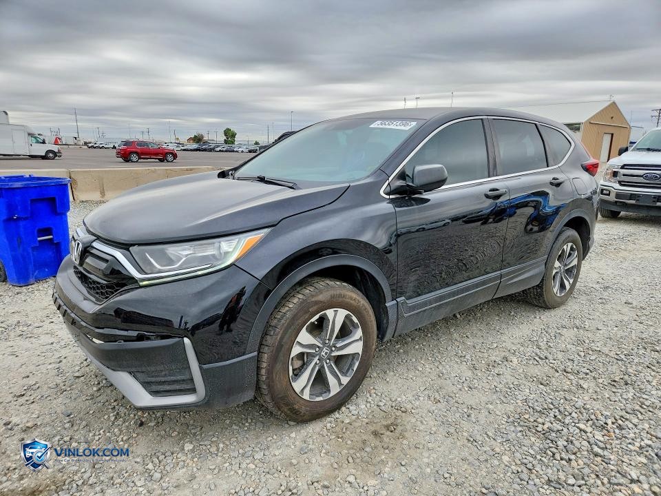 2020 HONDA CR-V LX – Lot 56351396 auction photo