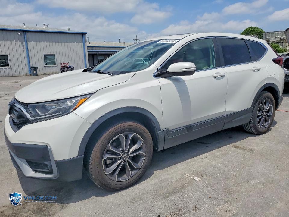 2021 HONDA CR-V EXL – Lot 56354426 auction photo