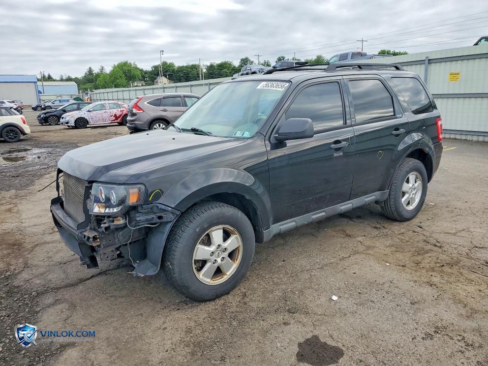 2012 FORD ESCAPE XLT – Lot 56363656 auction photo