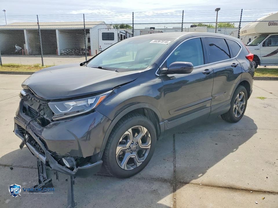 2019 HONDA CR-V EXL – Lot 56367016 auction photo
