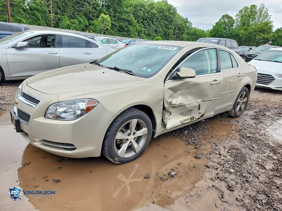 2011 CHEVROLET MALIBU 1LT – Lot 56369476 auction photo