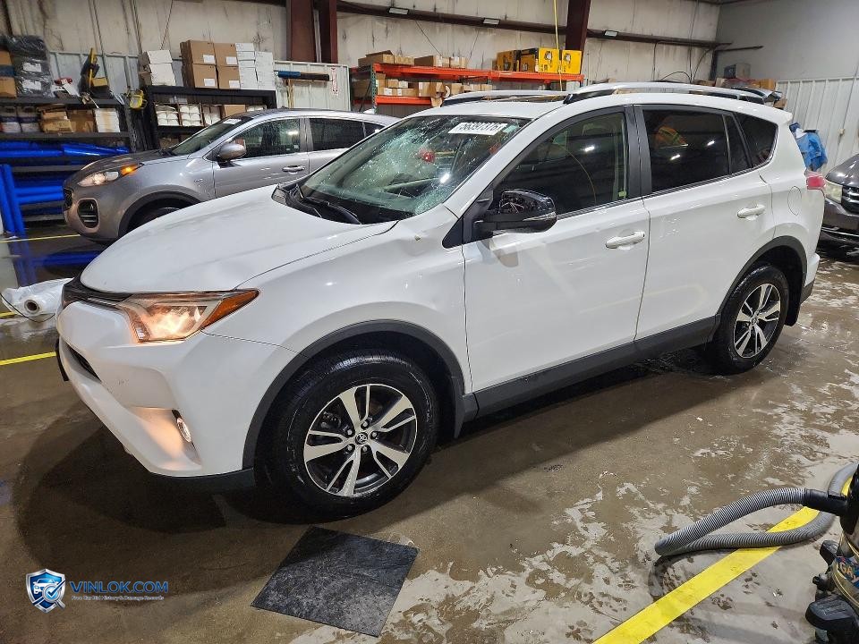 2017 TOYOTA RAV4 XLE – Lot 56397376 auction photo