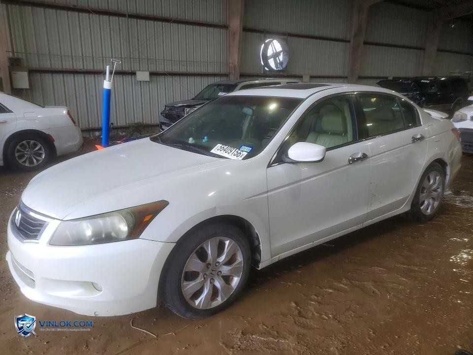 2008 HONDA ACCORD EXL – Lot 56409156 auction photo