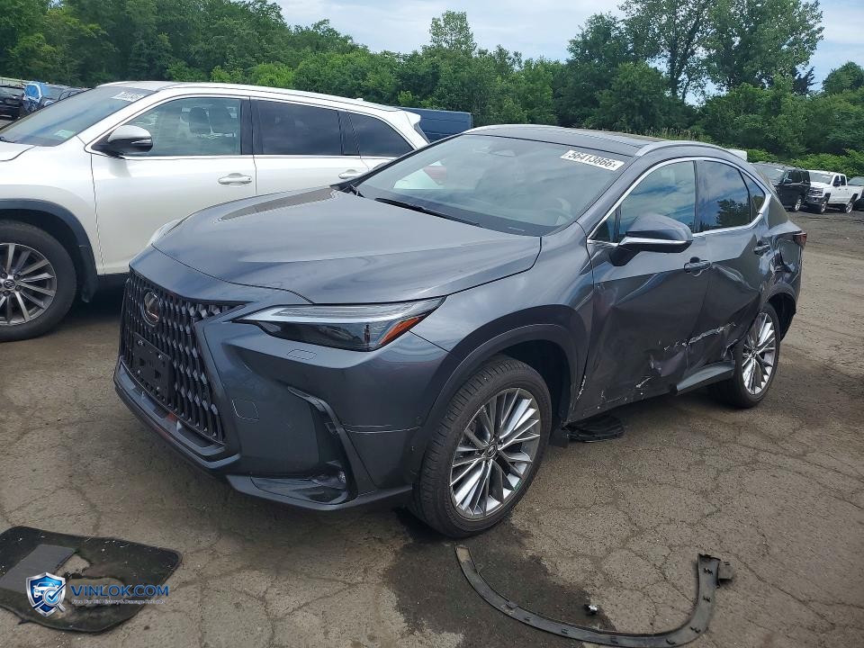 2024 LEXUS NX 350H LUXURY – Lot 56413866 auction photo