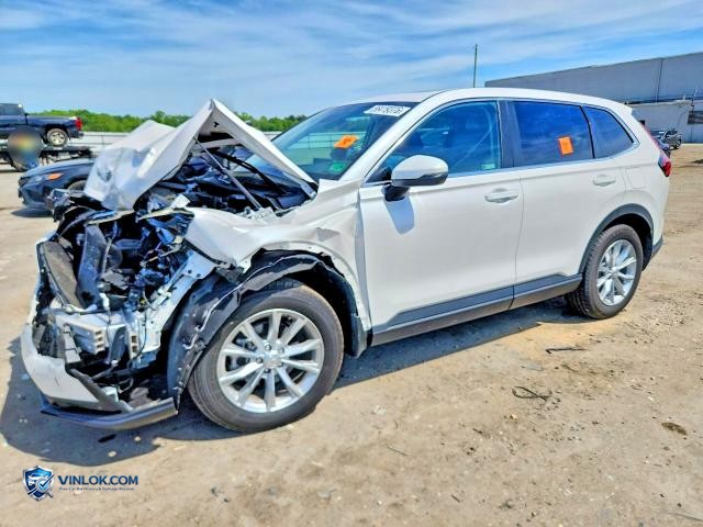 2025 HONDA CR-V EXL – Lot 56419376 auction photo