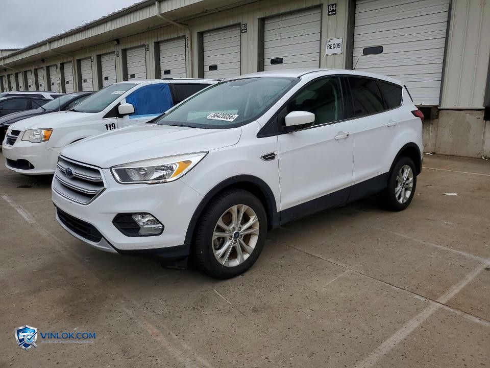 2019 FORD ESCAPE SE – Lot 56420256 auction photo