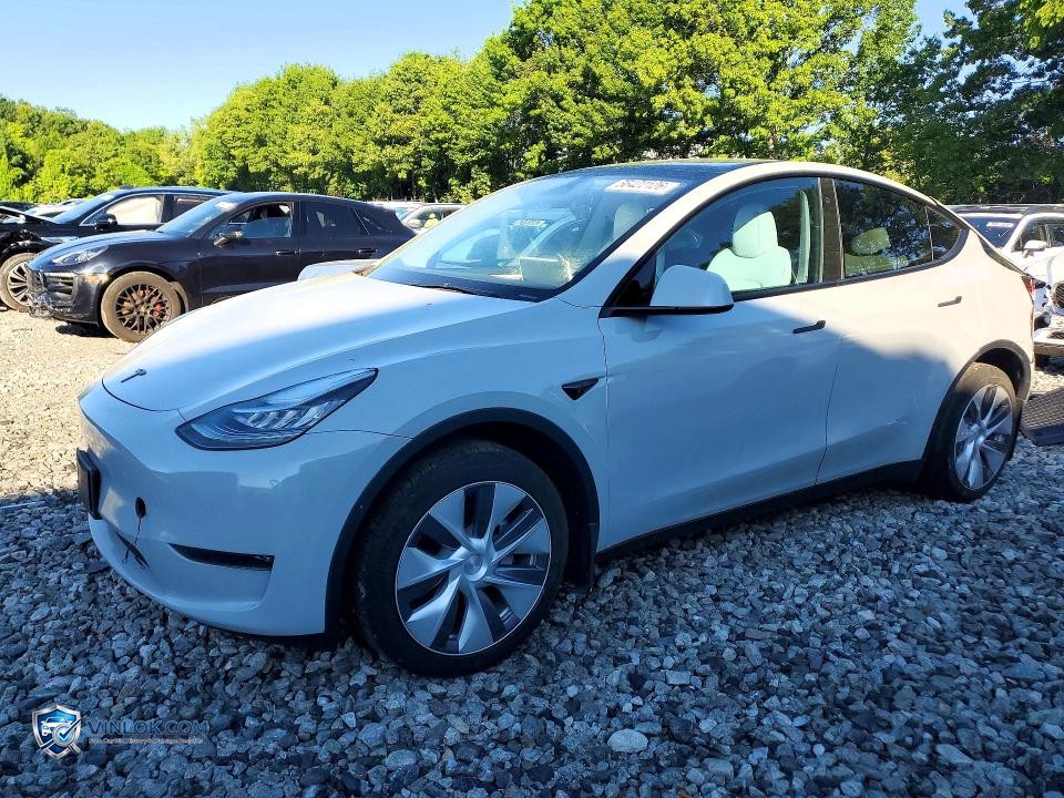 2023 TESLA MODEL Y – Lot 56422126 auction photo