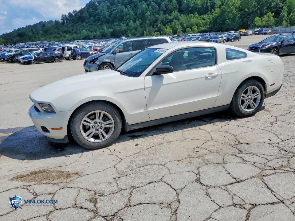 2012 FORD MUSTANG – Lot 56443456 auction photo