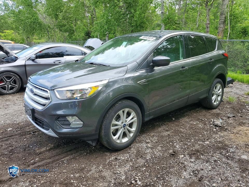 2019 FORD ESCAPE SE – Lot 56445826 auction photo