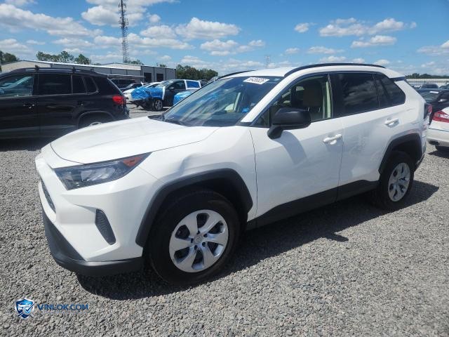 2019 TOYOTA RAV4 LE – Lot 56456826 auction photo