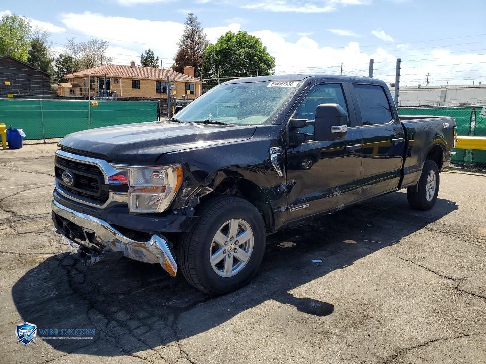 2022 FORD F150 SUPERCREW – Lot 56460536 auction photo
