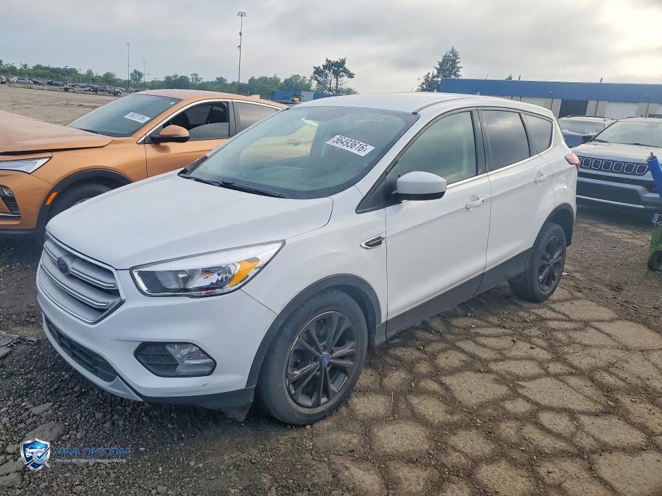 2019 FORD ESCAPE SE – Lot 56493616 auction photo