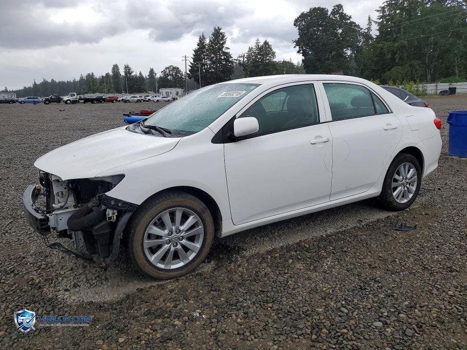 2010 TOYOTA COROLLA LE – Lot 56503216 auction photo