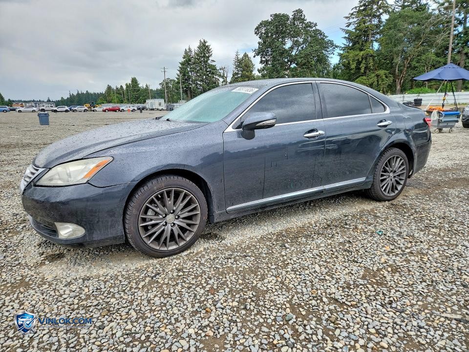 2010 LEXUS ES 350 – Lot 56511836 auction photo