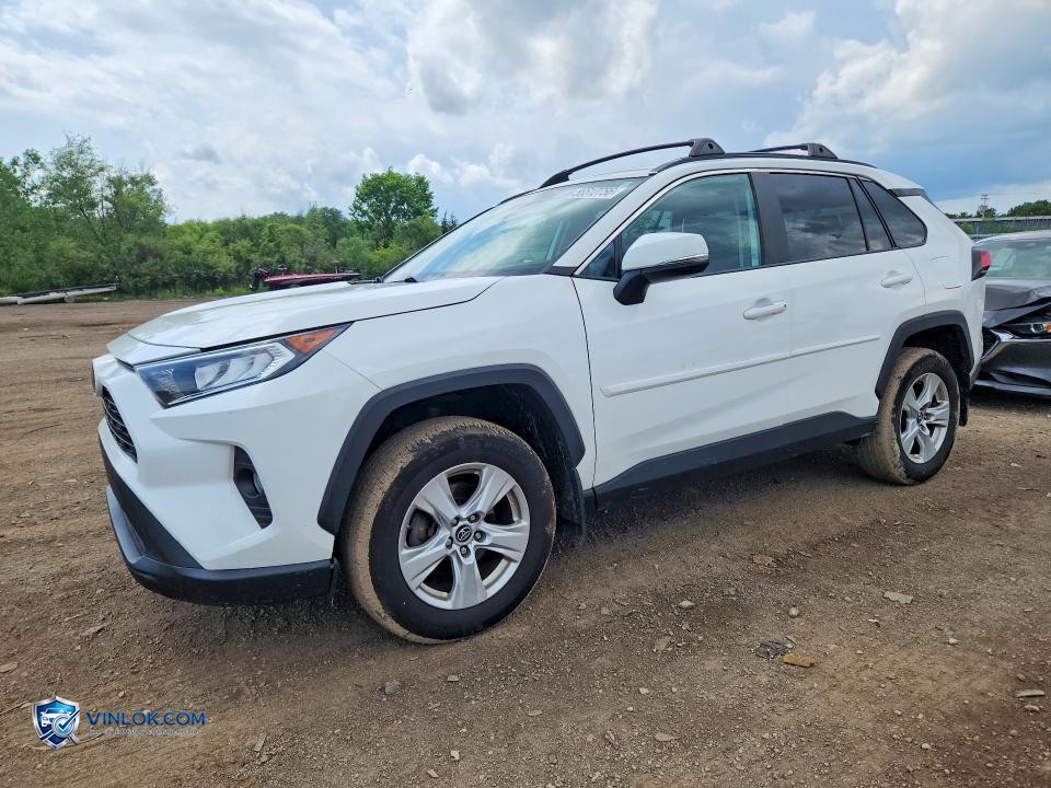 2019 TOYOTA RAV4 XLE – Lot 56512756 auction photo