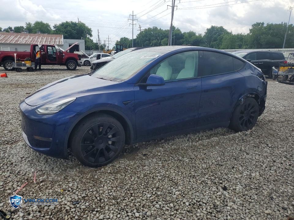 2022 TESLA MODEL Y – Lot 56518866 auction photo