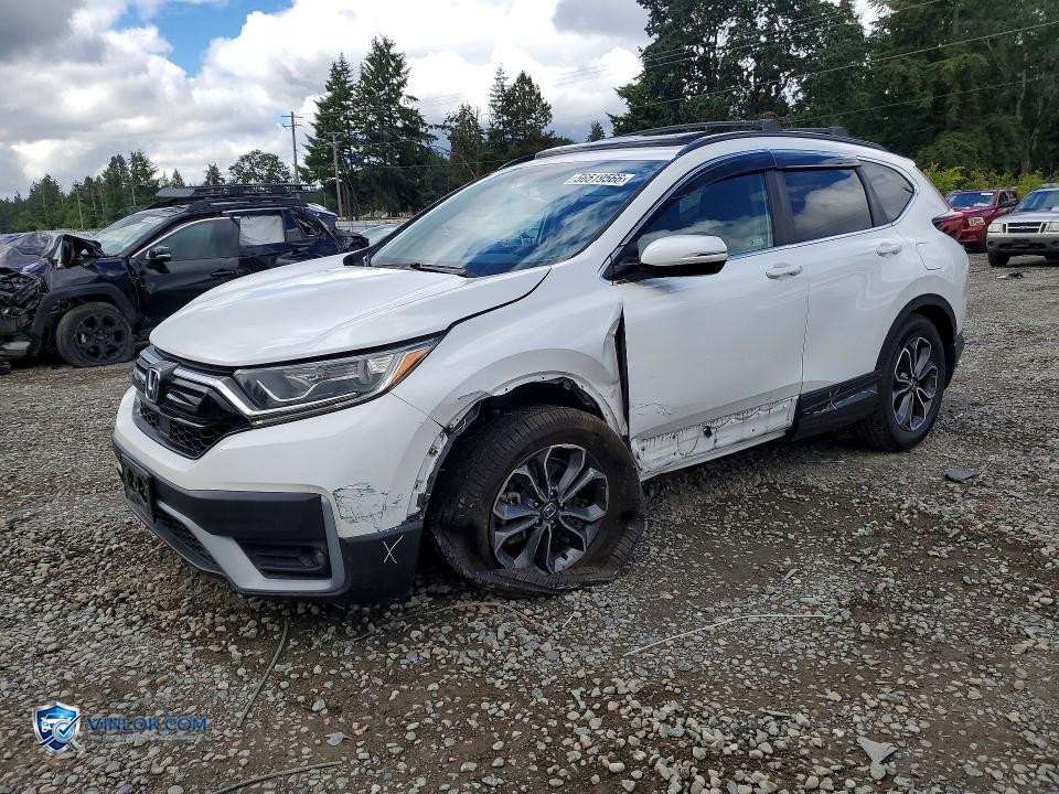 2020 HONDA CR-V EX – Lot 56519566 auction photo