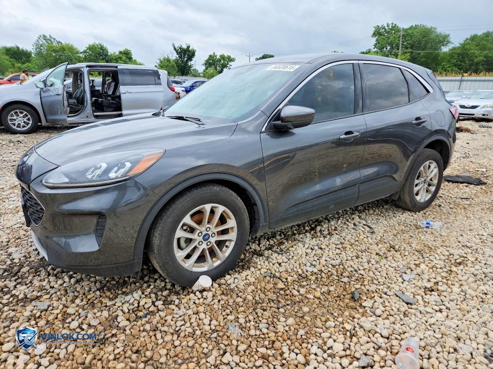 2020 FORD ESCAPE SE – Lot 56520616 auction photo