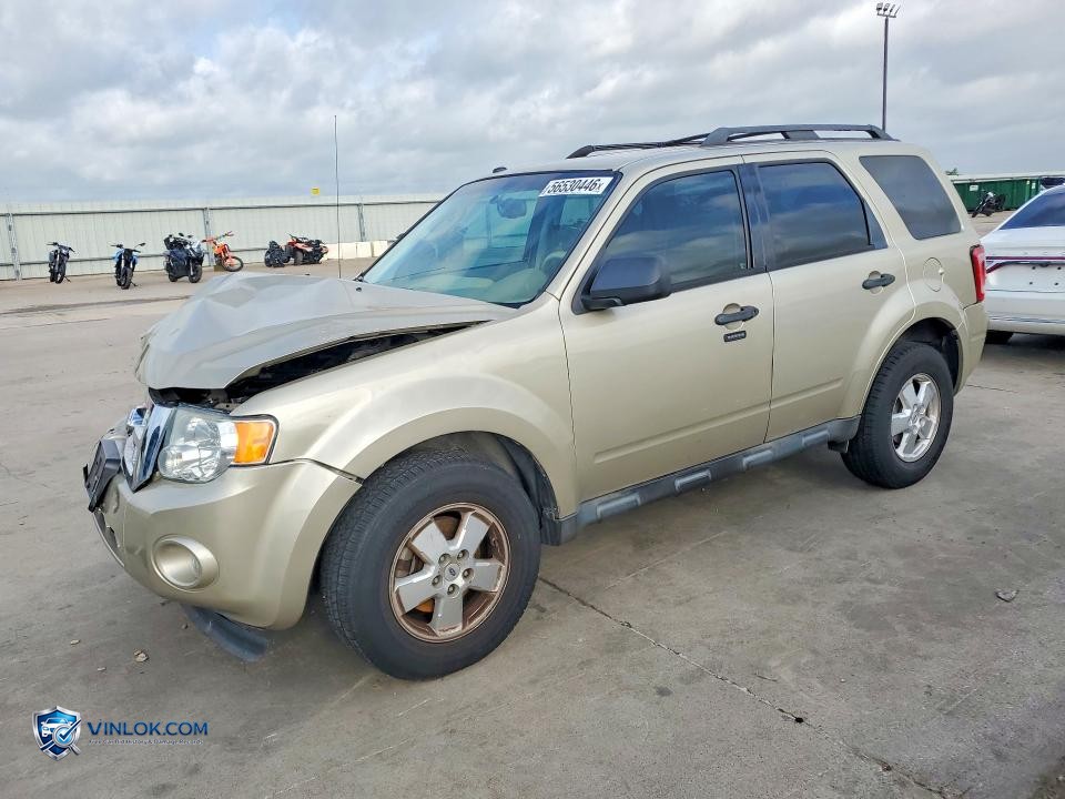 2011 FORD ESCAPE XLT – Lot 56530446 auction photo