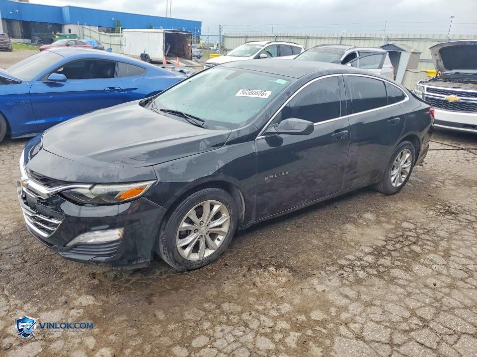2019 CHEVROLET MALIBU LT – Lot 56580606 auction photo