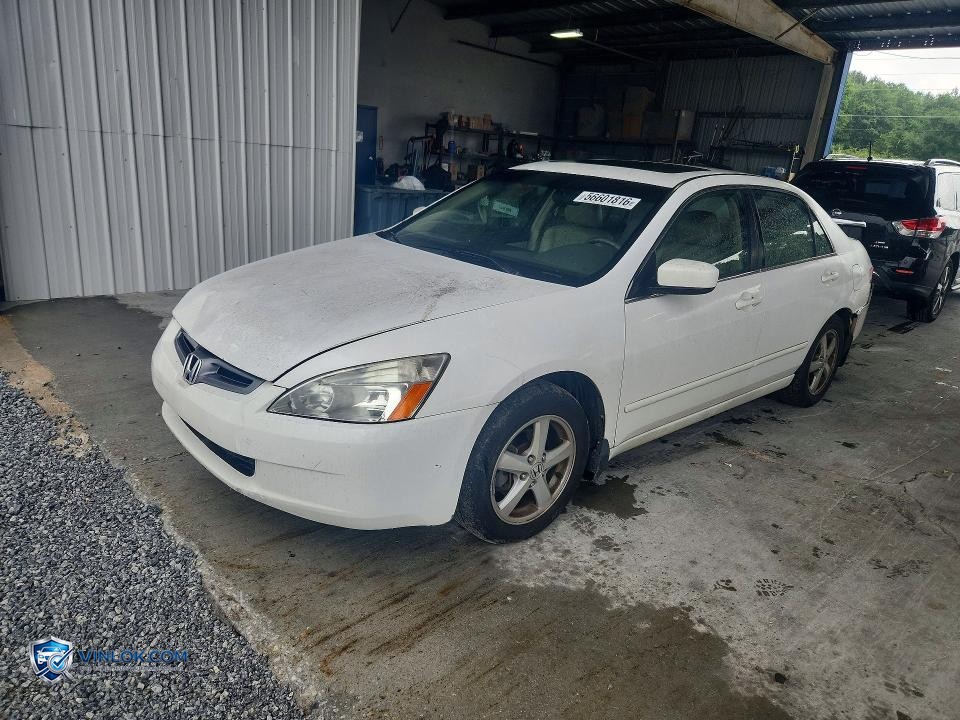 2005 HONDA ACCORD EX – Lot 56601816 auction photo