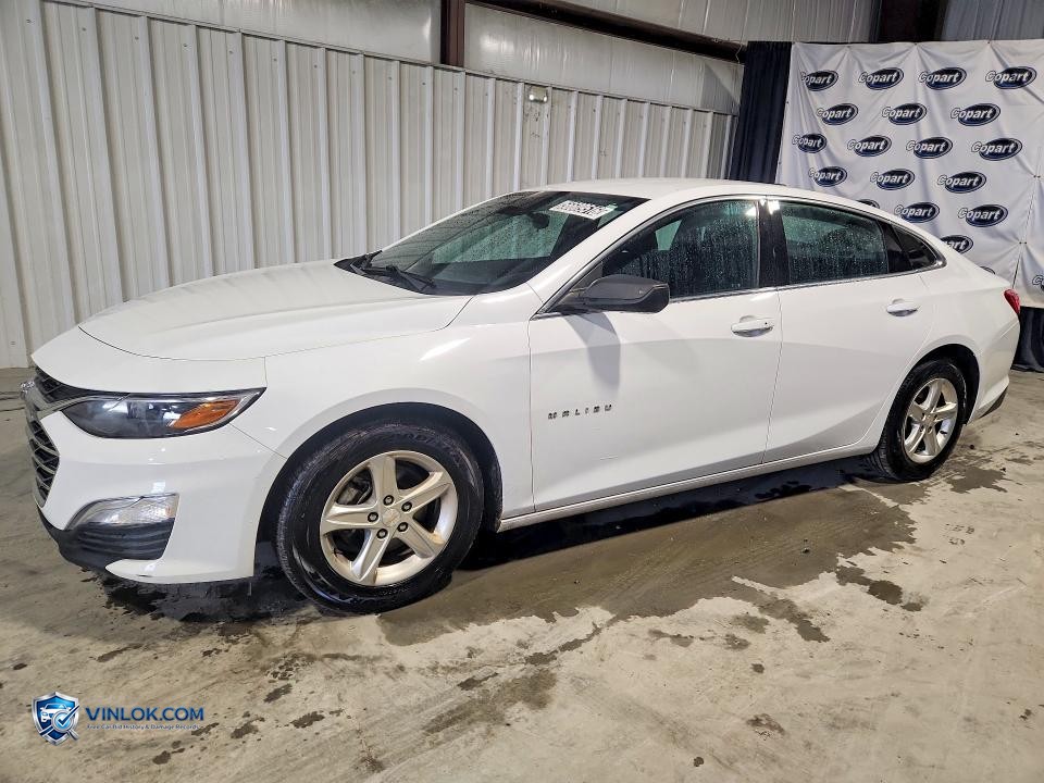 2023 CHEVROLET MALIBU LS – Lot 56609516 auction photo