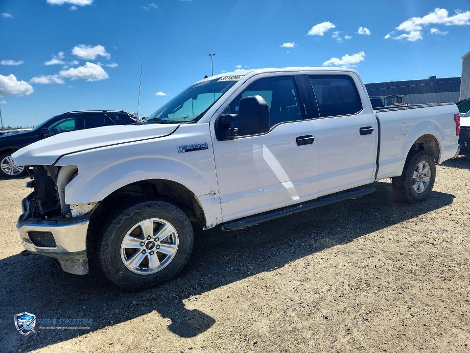 2020 FORD F150 SUPERCREW – Lot 56618296 auction photo
