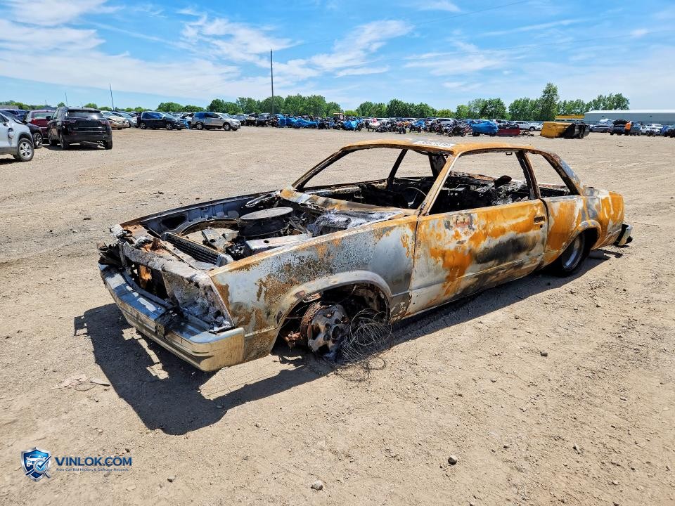 1979 CHEVROLET MALIBU – Lot 56621316 auction photo