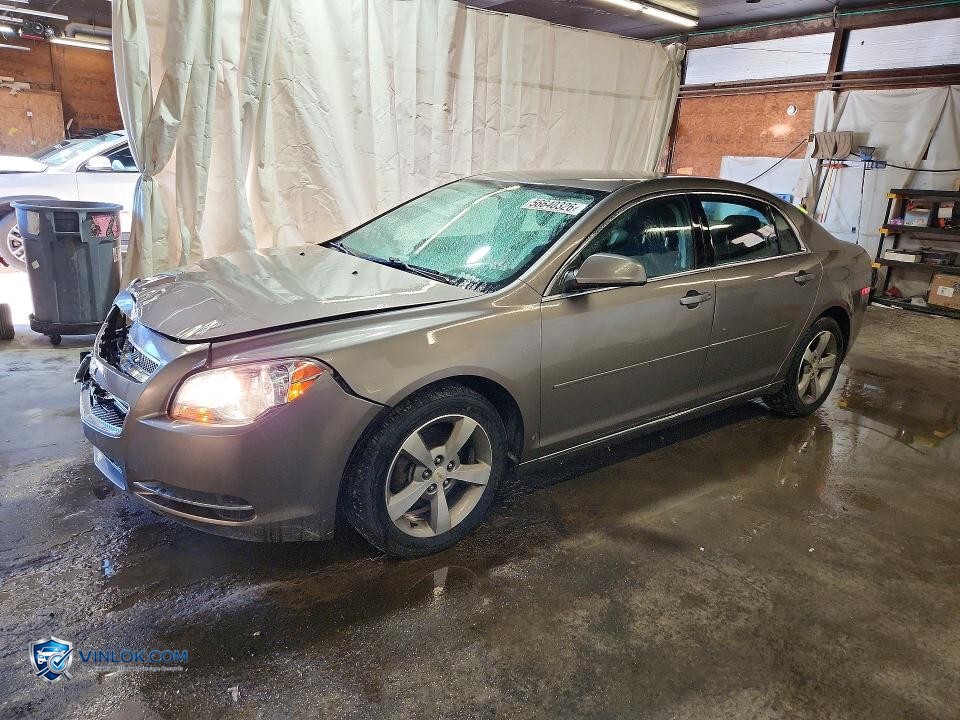 2011 CHEVROLET MALIBU 1LT – Lot 56640326 auction photo