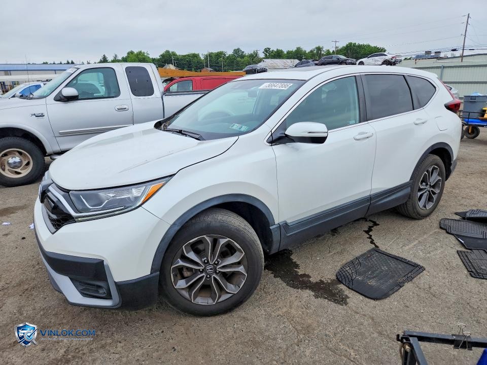 2021 HONDA CR-V EX – Lot 56647886 auction photo