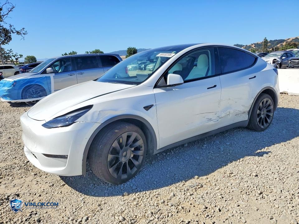 2023 TESLA MODEL Y – Lot 56650206 auction photo