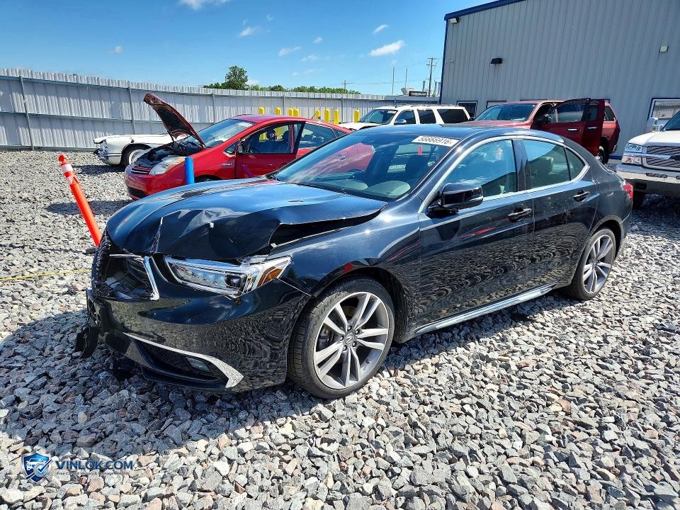 2019 ACURA TLX ADVANCE – Lot 56666916 auction photo