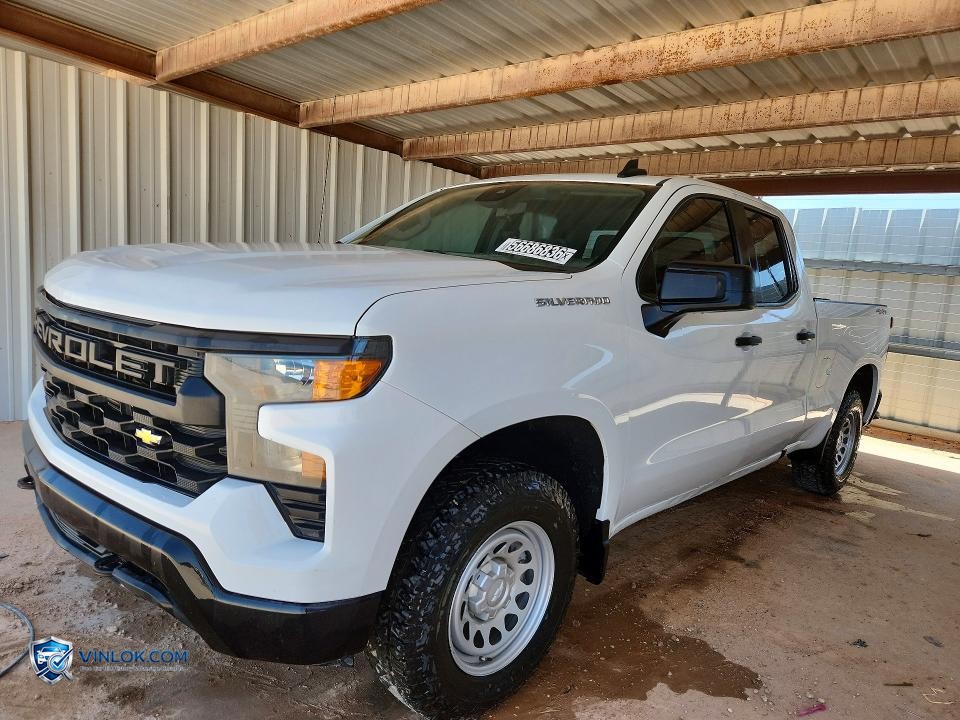 2022 CHEVROLET SILVERADO K1500 – Lot 56686836 auction photo