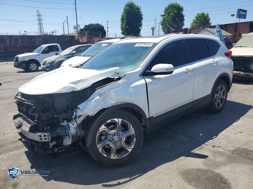 2019 HONDA CR-V EXL – Lot 56739636 auction photo
