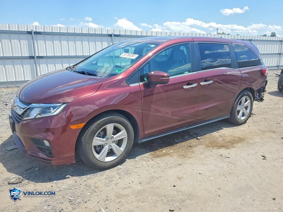 2019 HONDA ODYSSEY EXL – Lot 56768056 auction photo
