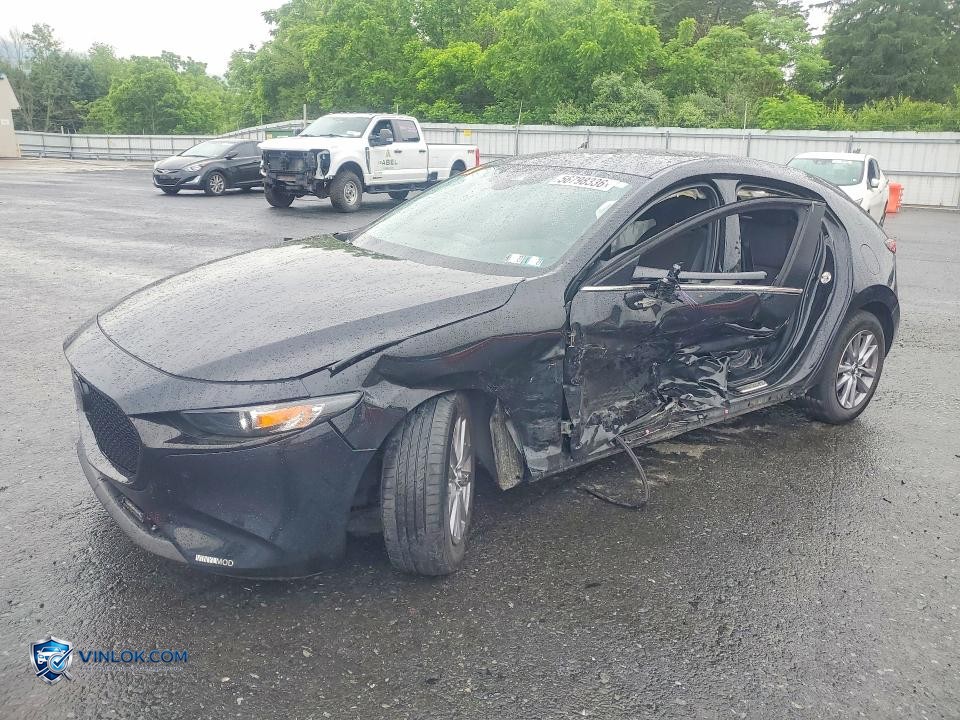    – Lot 56798336 auction photo