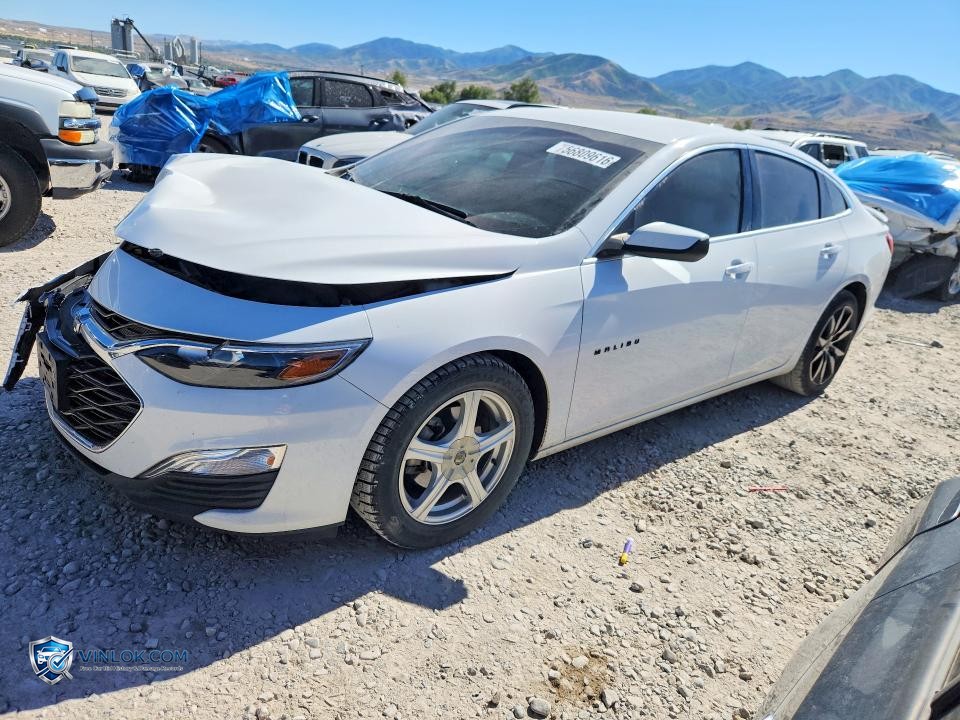 2020 CHEVROLET MALIBU RS – Lot 56809616 auction photo