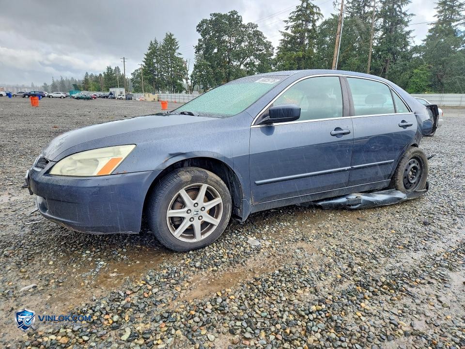 2003 HONDA ACCORD EX – Lot 56825776 auction photo