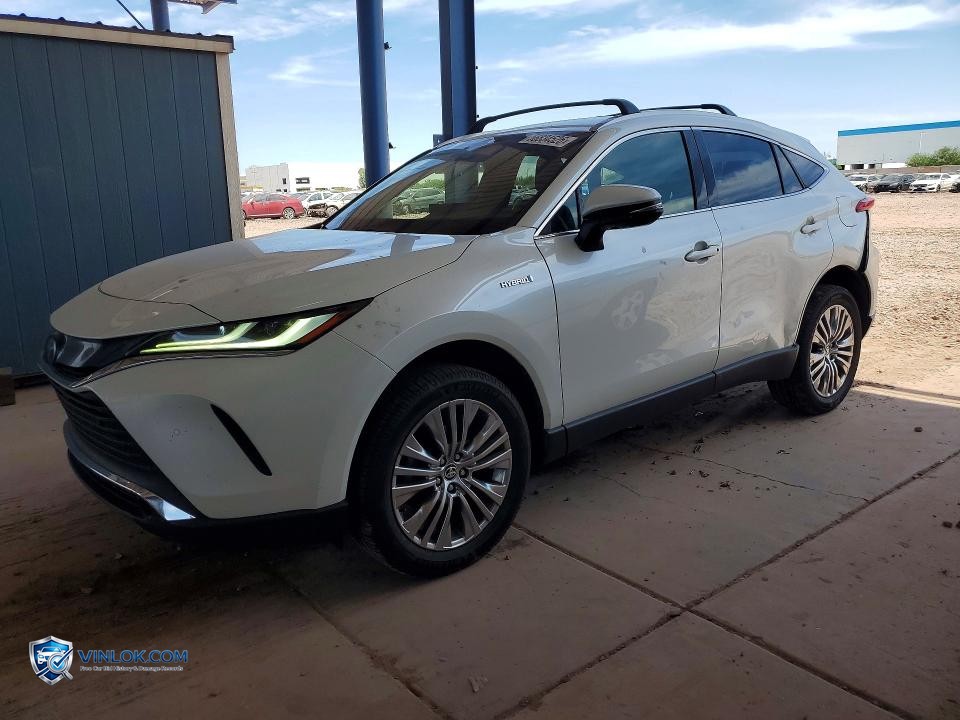 2021 TOYOTA VENZA XLE – Lot 56834526 auction photo