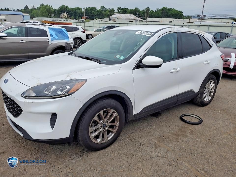 2020 FORD ESCAPE SE – Lot 56850096 auction photo