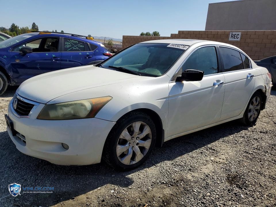 2008 HONDA ACCORD EXL – Lot 56856276 auction photo