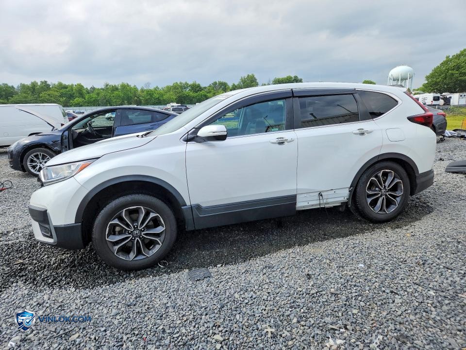 2020 HONDA CR-V EXL – Lot 56867086 auction photo