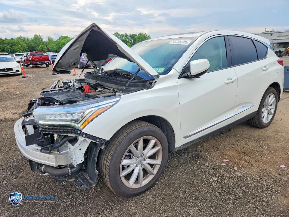 2019 ACURA RDX – Lot 56885126 auction photo