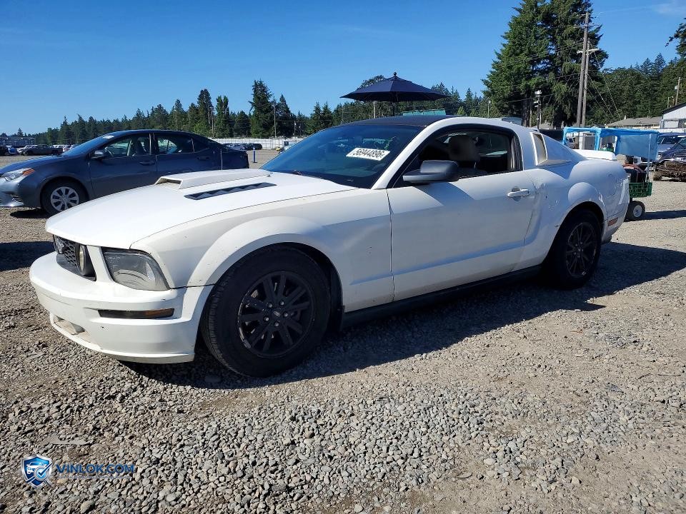2007 FORD MUSTANG – Lot 56944896 auction photo