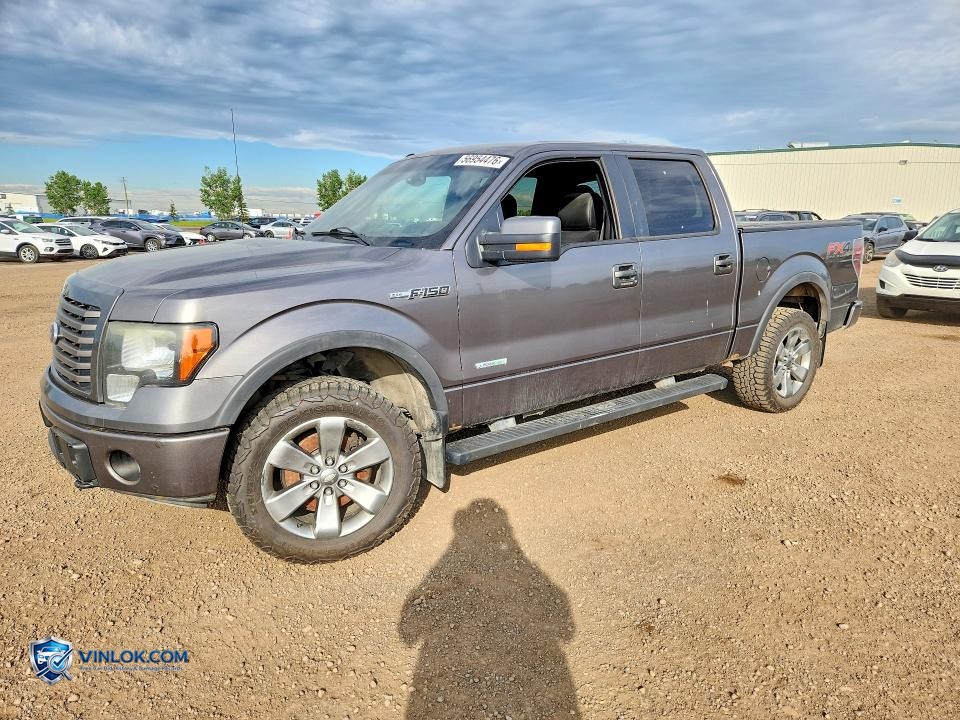 2012 FORD F150 SUPERCREW – Lot 56954476 auction photo
