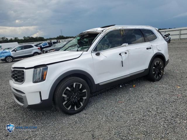 2023 KIA TELLURIDE SX – Lot 56985216 auction photo