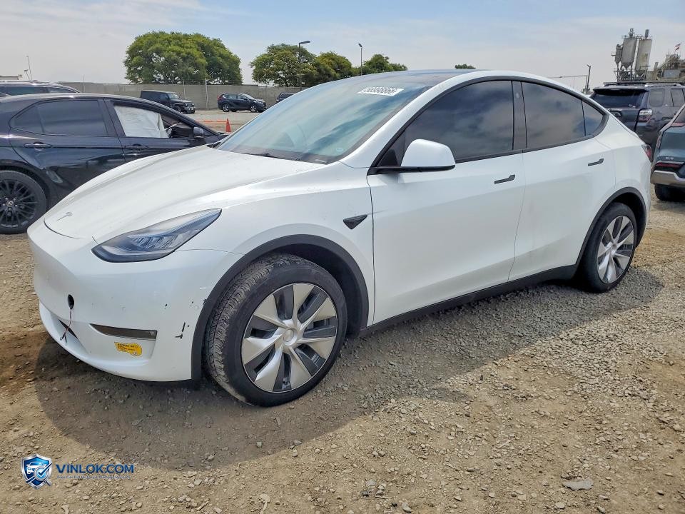 2021 TESLA MODEL Y – Lot 56998866 auction photo