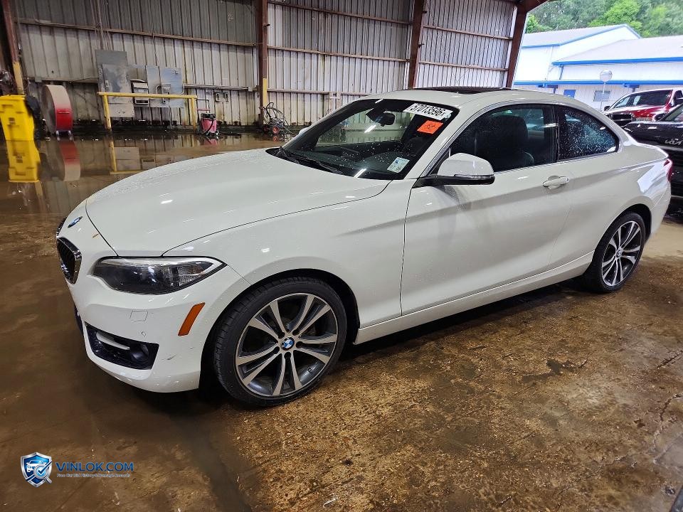 2016 BMW 228 I SULEV – Lot 57013596 auction photo