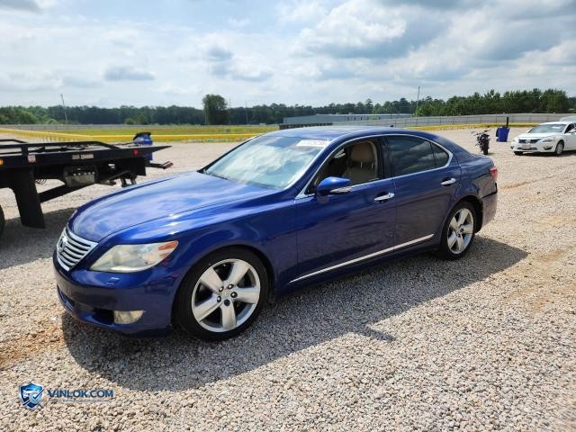 2010 LEXUS LS 460 – Lot 57029256 auction photo